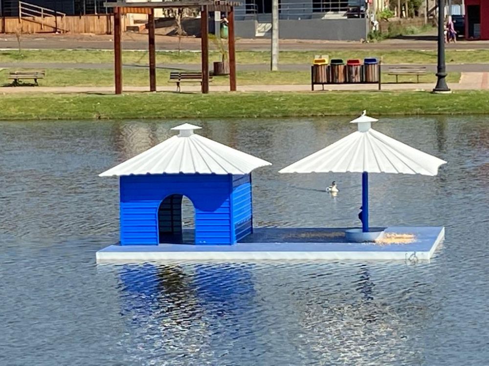 Casa nova para os patos, cisnes e marrecos do Lago Municipal