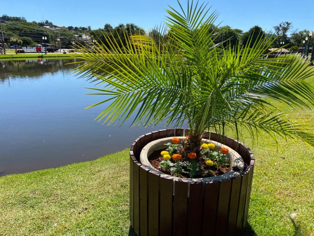 Administração Municipal inicia plantio de flores na cidade