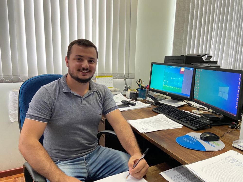 Prefeitura fará leilão para venda de eucaliptos