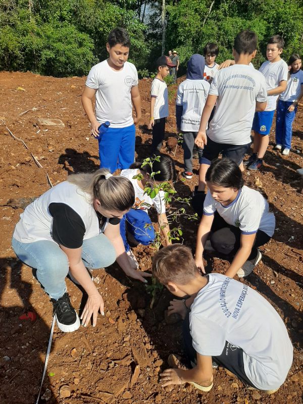 Realizado plantio de 350 mudas de árvores às margens do Rio Lontra